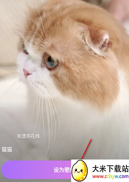 Ĵָ��ֽ2026�ٷ����°汾