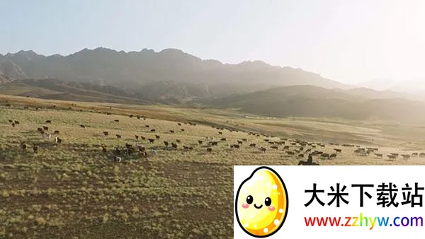 全聚合TV2026官方正版 全聚合TV2026官方正版