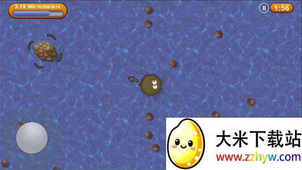 ��ζ���������