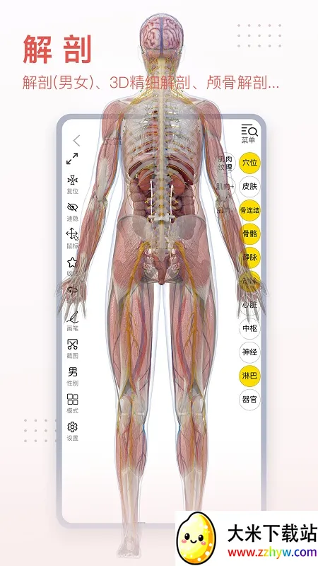 3dbody����app�������v8.8.72 ��Ѱ��ͼ