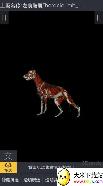 3dbody����app�������