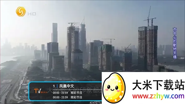 �͵�TV����(����ֱ������)