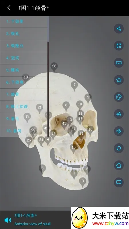 ҽά�Ƚ��������ֻ���v3.3.20 �ֻ����ͼ