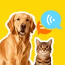 �ȳ�è����ѷ���(���ﻥ��Ӧ��)v1.0.2 ��׿��