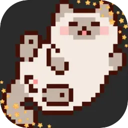 �����ٵ�����è���2026�ٷ�����