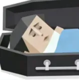 SBTI����(�˸������Ϸ)