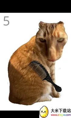 ��è��ë2026�ٷ����°汾v1.0 ��Ѱ��ͼ