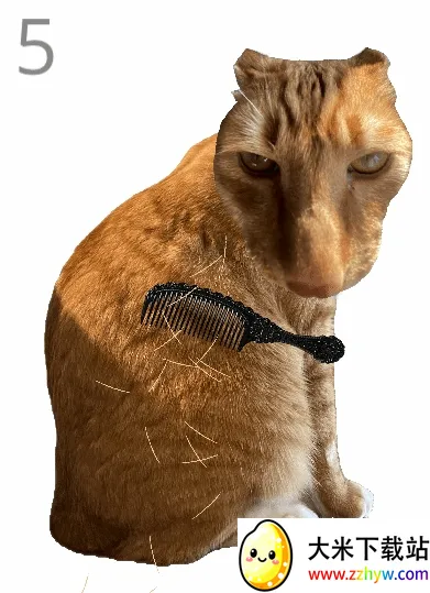 ��è��ë2026�ٷ����°汾