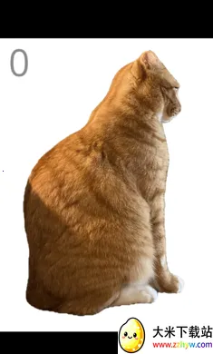 ��è��ë2026�ٷ����°汾v1.0 ��Ѱ��ͼ