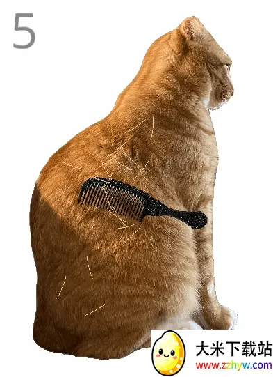 ��è��ë2026�ٷ����°汾