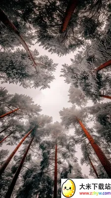 RawPix2026���°汾v1.4.18 �ֻ����ͼ