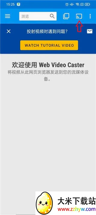 Web Video Caster(��ƵͶ������)