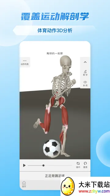 维萨里3D解剖2026官方最新版本 维萨里3D解剖2026官方最新版本