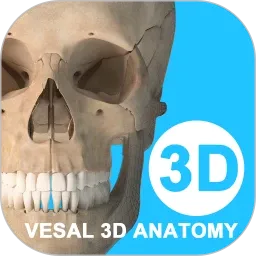 ά����3D����2026�ٷ����°汾v7.0.1 ��׿��