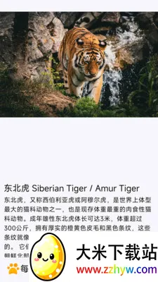 ÿ�ն��������ֻ���v1.0.0 �ٷ������ͼ