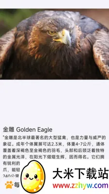 ÿ�ն��������ֻ���v1.0.0 �ٷ������ͼ