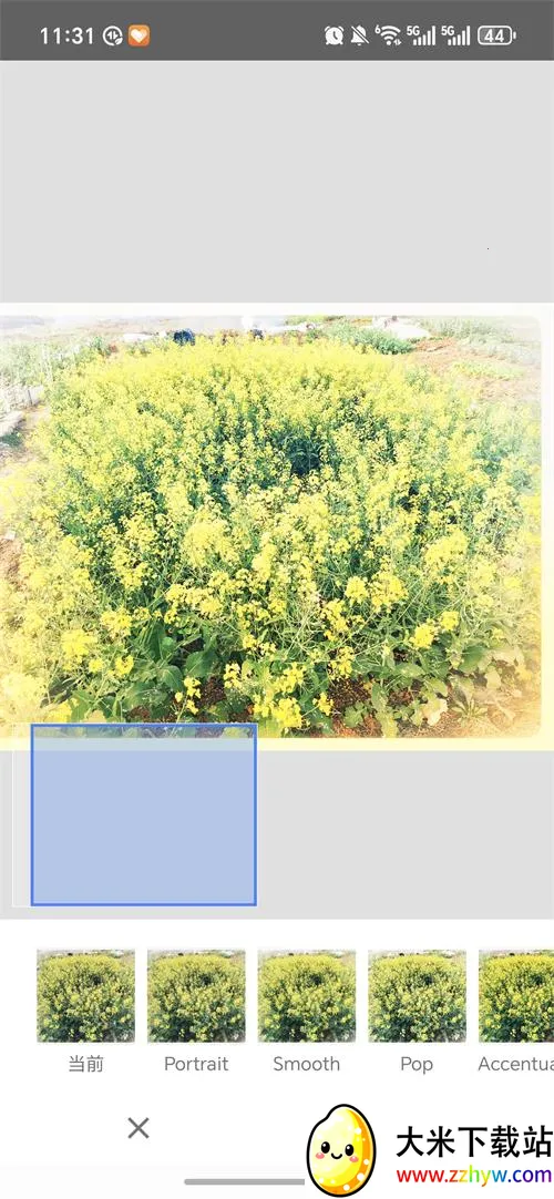 BetterSeed(רҵ��ͼ����)v2.22.0.633363672 ��Ѱ��ͼ