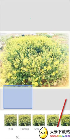 BetterSeed(专业修图软件) BetterSeed(专业修图软件)