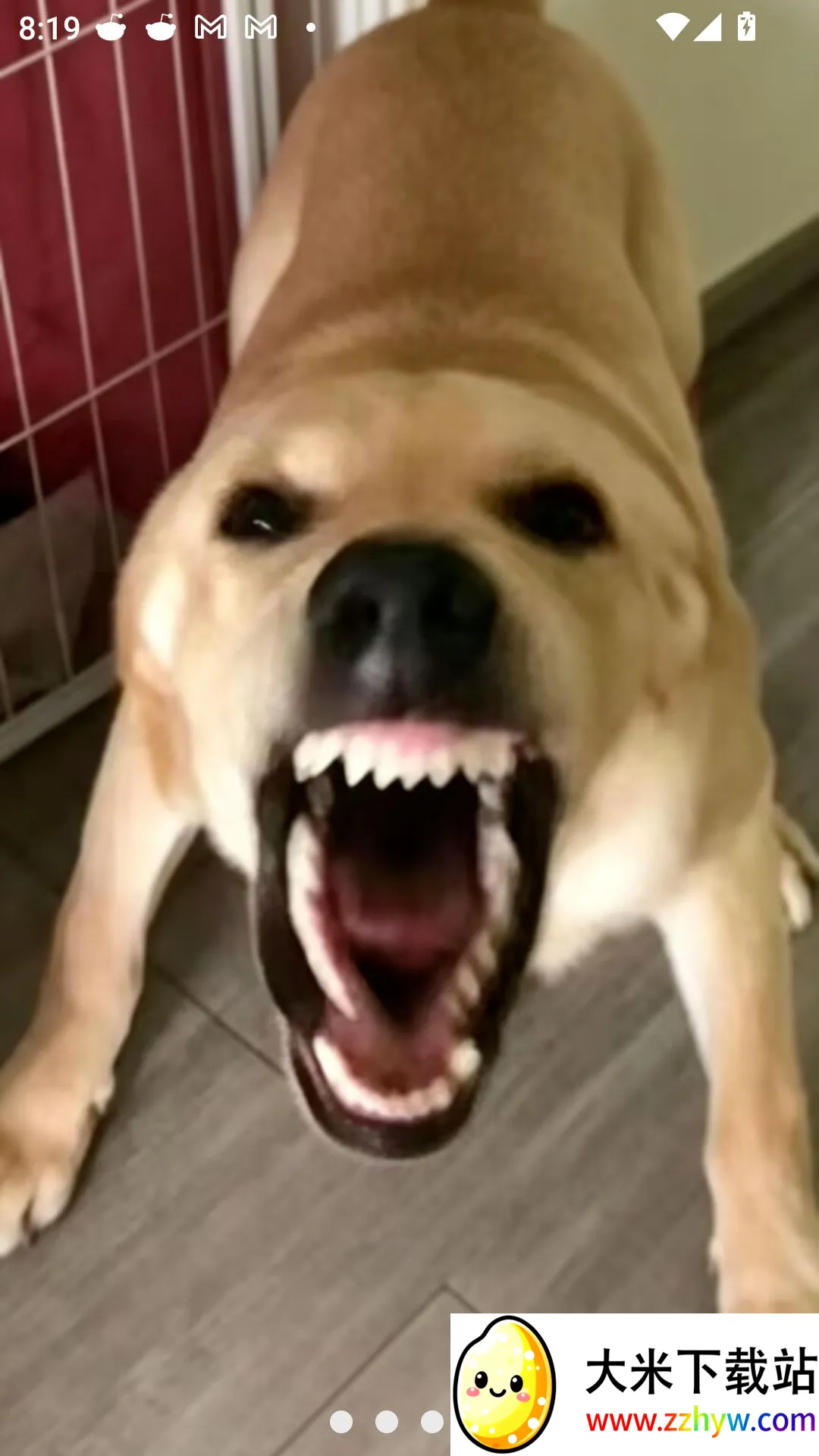�󹷽���Ϸ������ư�(������ģ����Ϸ)v1.1 ��Ѱ��ͼ